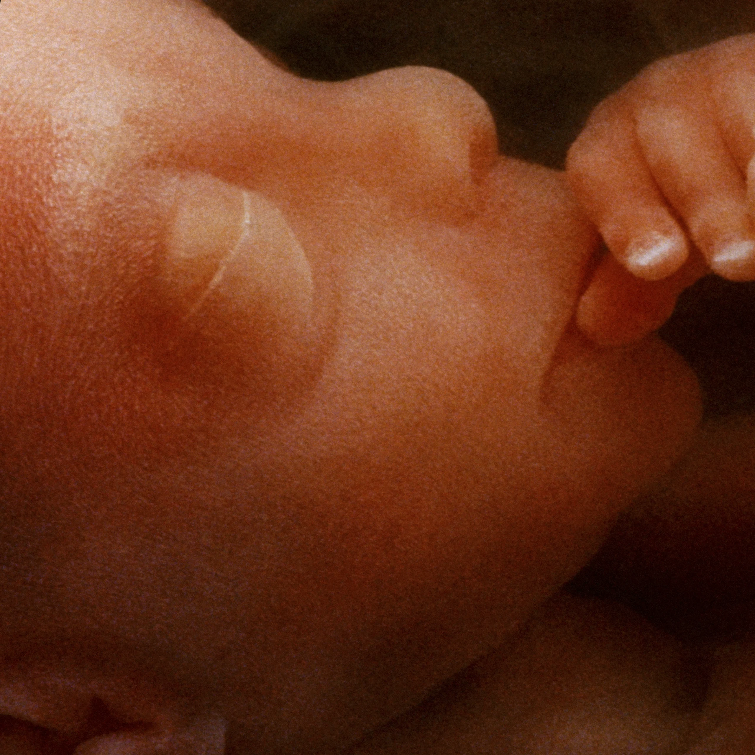 baby in the womb with hand to mouth