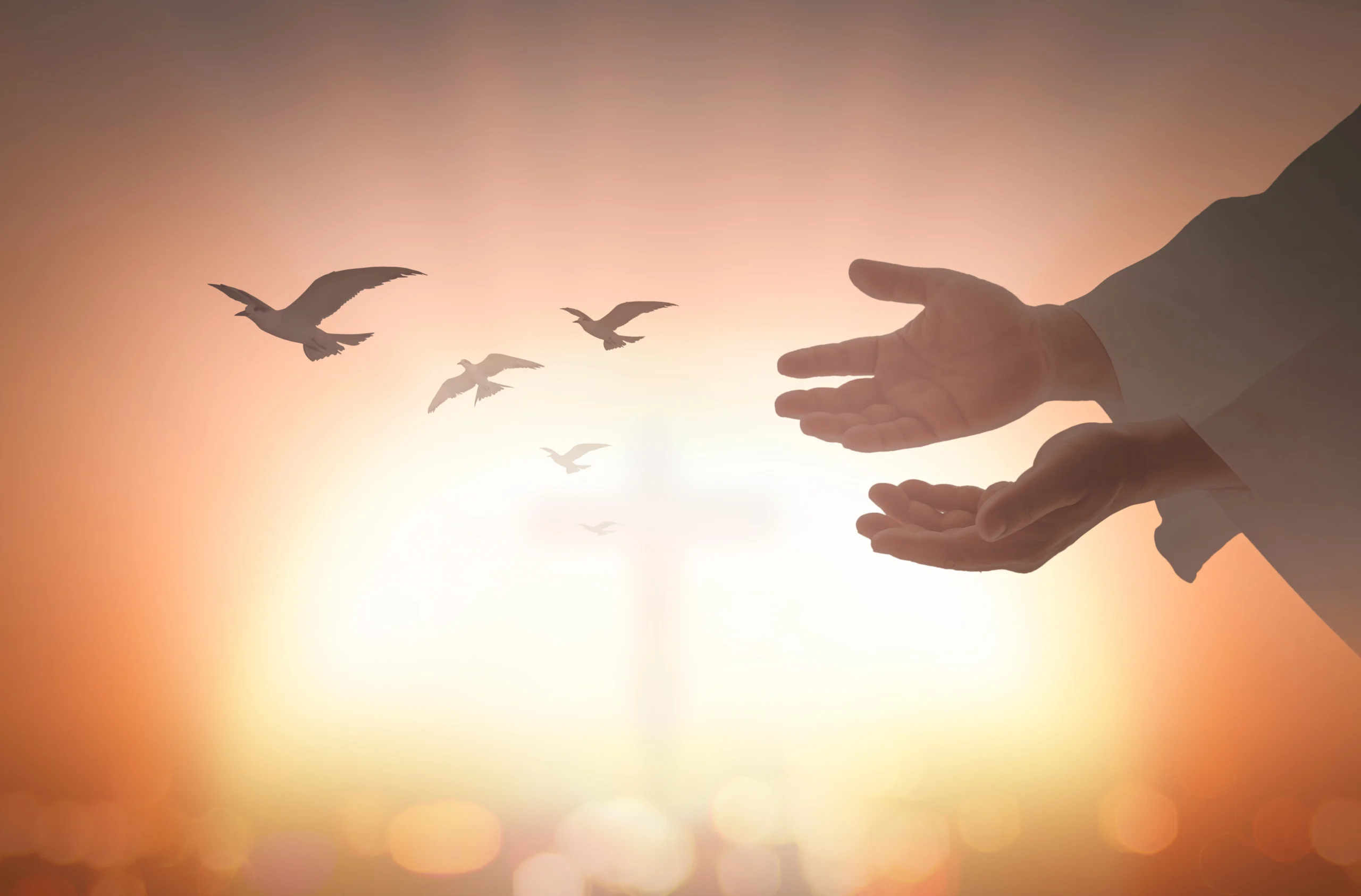 hands outstretched with doves flying at sunset