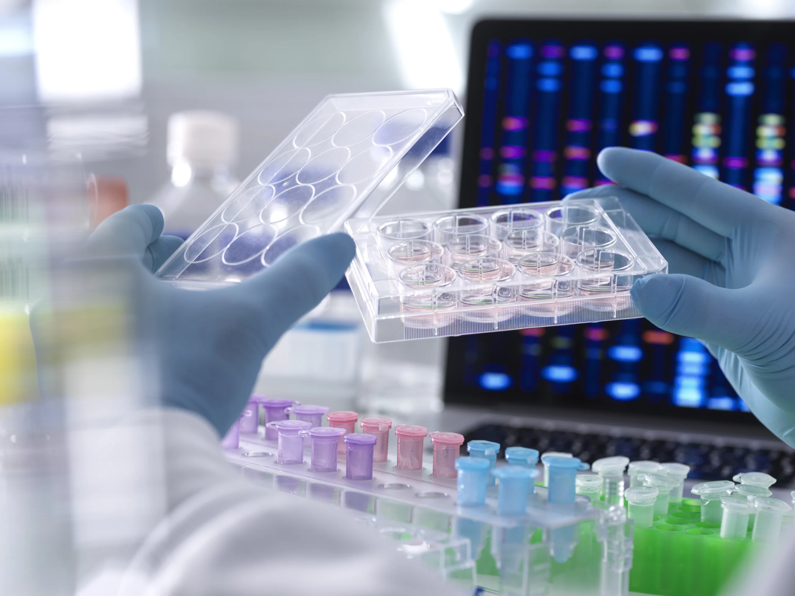 scientists holding culture plate in a lab
