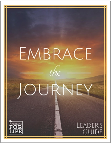 Embrace the Journey educational resource  cover